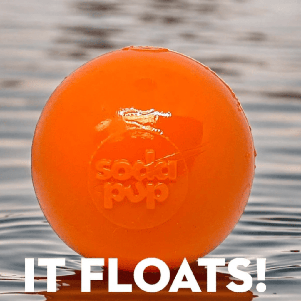 Dog Fetch Balls